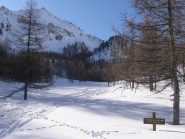 Uscendo dal bosco al Plan du Vallon