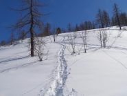 La mia BELLISSIMA traccia di discesa