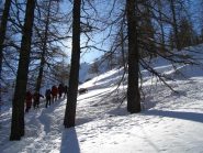 In salita nel bosco