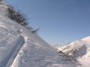 Sullo sfondo il Monviso