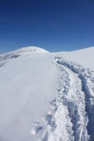farina in cresta
