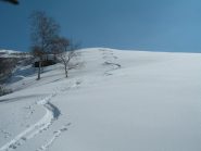 pochi tratti non toccati