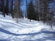 Nel Bois de la Silvie