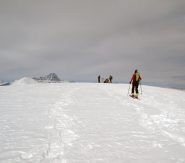 la cima