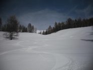 il bosco in alto va ancora