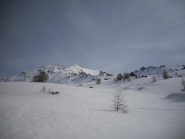 eccola!