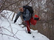 ravanando nel bosco