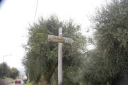 indicazione 1