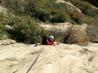 L6, una delle più belle