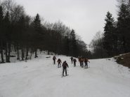 IN SALITA A GRAPPOLO FITTO
