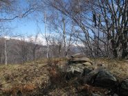 La cima del Monte Canavetta tra la boscaglia