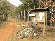 La palina del Pilone