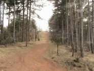 Da qui si va verso la Cappelletta