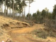 Il bivio sopra Rivera