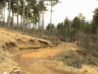 Il bivio sopra Rivera