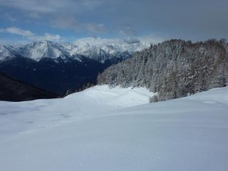 Bella farina