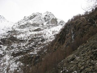 ormai e primavera...damocle