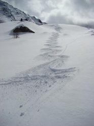  il ricamo dello skyalp