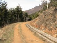 Bellissima tagliafuoco