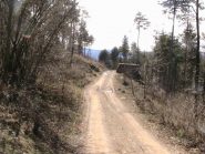 La tagliafuoco che porta a Rivera