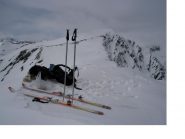 Il Faraut dalla P.Reghetta