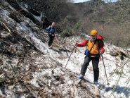 Quasi alla fine: giungla ski