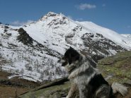 Gregario e ... Gregorio :-)