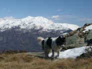 Verso la Colma di Mombarone