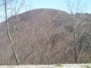 monte calmia da alpette