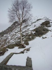 vasca in pietra e Arbella da Alpe Colmetto