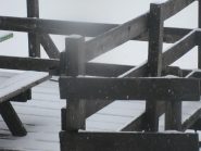 nevica