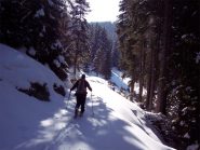 Tratto iniziale su strada forestale
