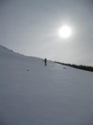 velluto