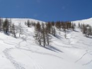 Discesa solitaria accanto alle piste