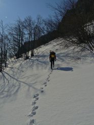 avvicinamento nell'ultimo tratto del bosco