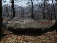 la spettacolare pera piana