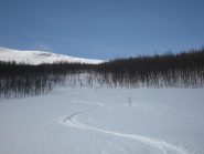 ultime curve in uscita dalla buschina norvegese 