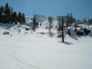 sotto all'alpeggio