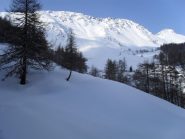 all'uscita dal bosco...il paradiso