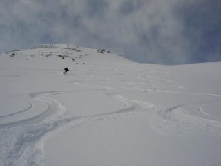 Ancora farina....
