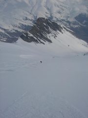 Che farina !!!!!
