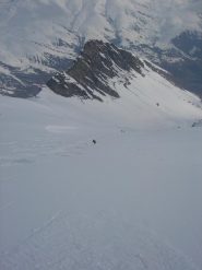Che farina !!!!!