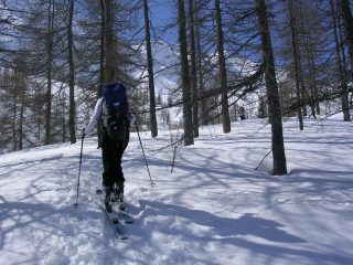 salita nel bosco iniziale