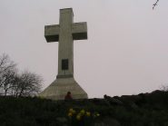 Fioritura di giunchiglie in vetta