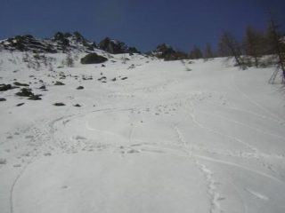 Discesa fantastica