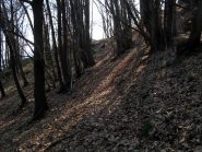 Sentiero verso Lovetti