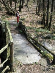 Ponte sul Rio Gallina