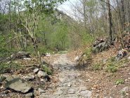 Strada della Comba