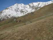Vasivressa e le Quinzeine
