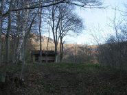 Percorrendo la dorsale nel bosco presso la baita 